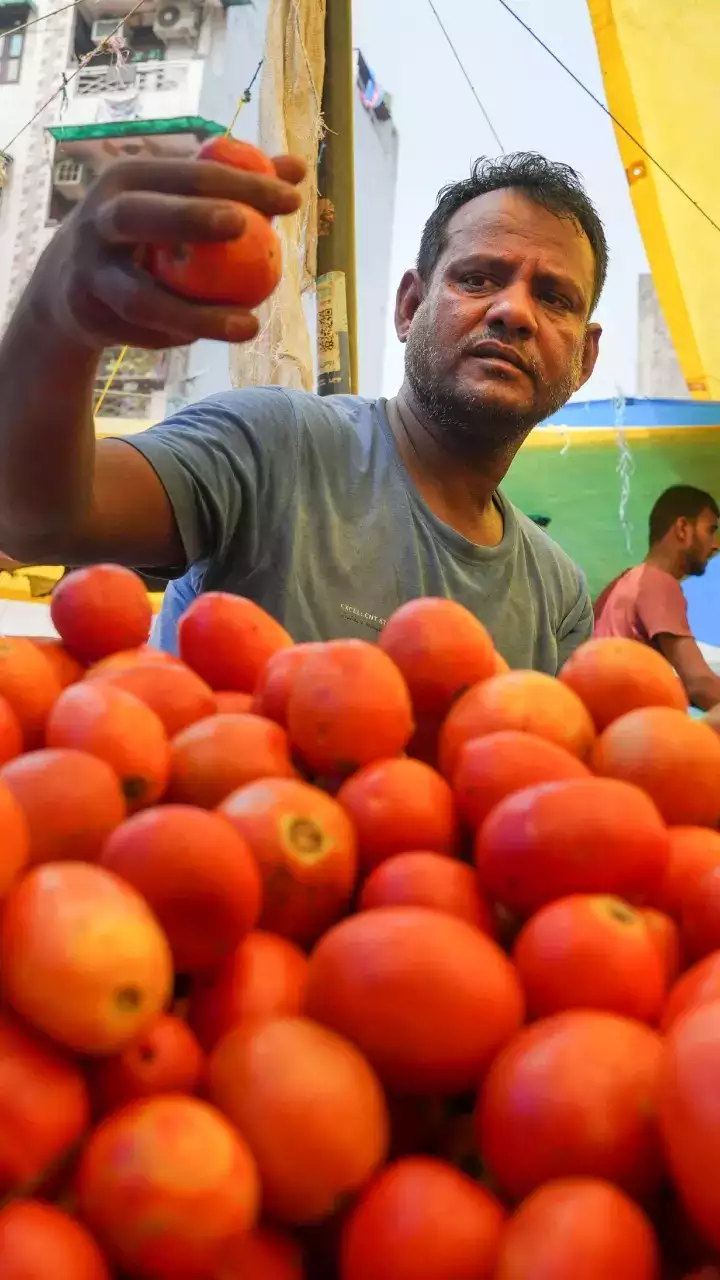 India Tomato Price: Here'S Why Tomato Prices Skyrocket Across Delhi, Bangalore, Chennai 